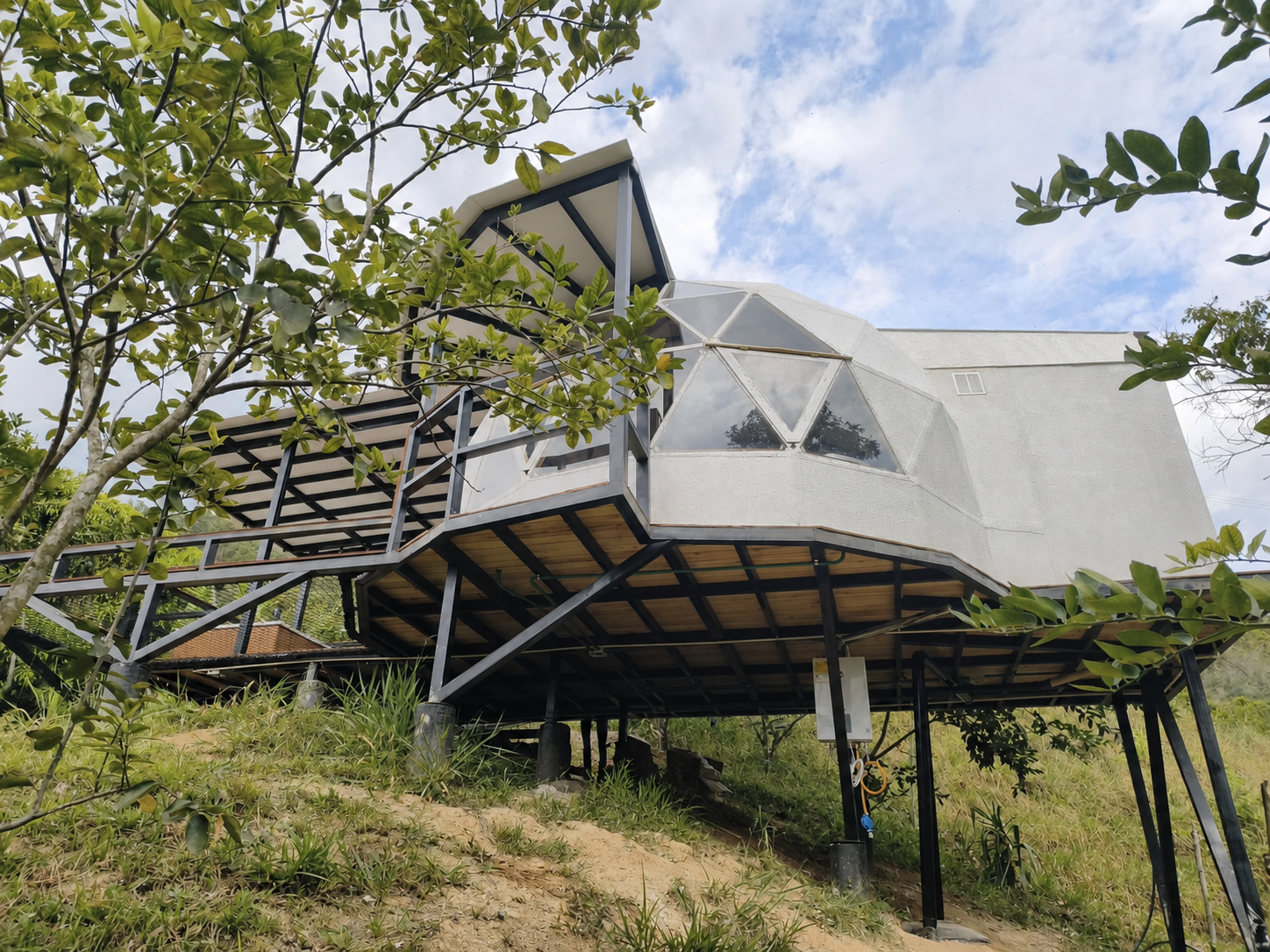 The finished dome structure elevated among the trees